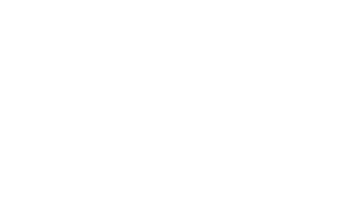 Merck for Mothers